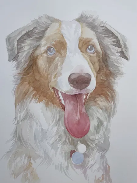 Applying base colors to the portrait