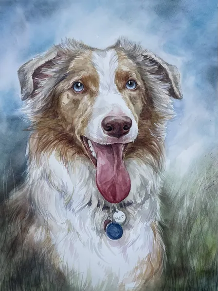 How I create a portrait of your pet from a photo