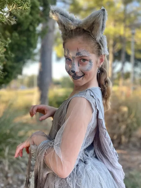 Classic butterfly and animal face painting designs