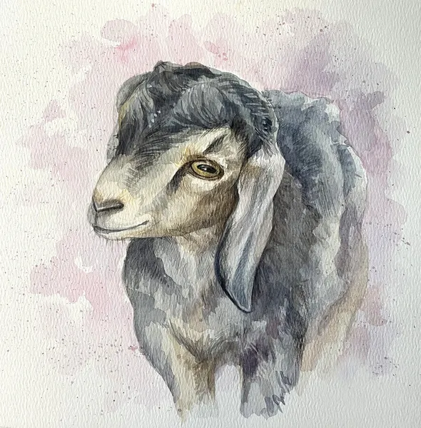 Custom horse portrait painting in watercolor